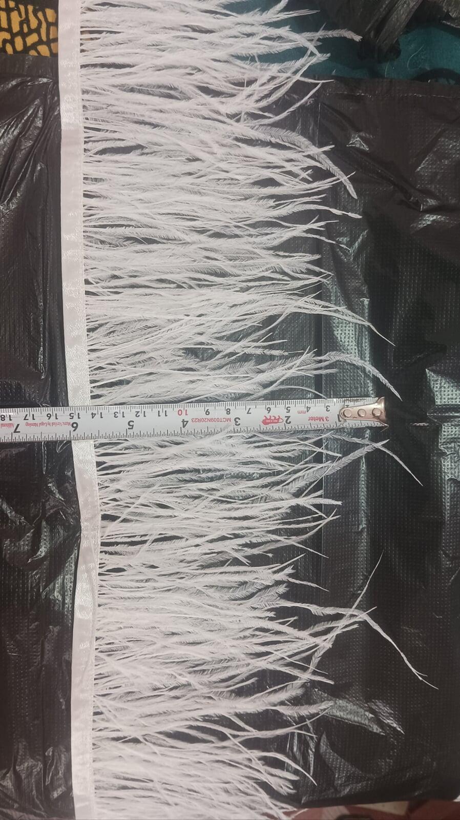 Ostrich feather lace